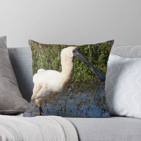 Item preview, A Royal Spoonbill designed and sold by stevealder.