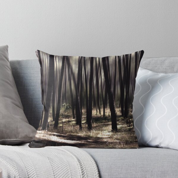 Item preview, autumn rays designed and sold by Ingrid Beddoes Photography.
