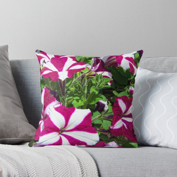 Item preview, Candy Striped Petunias designed and sold by James Brotherton.
