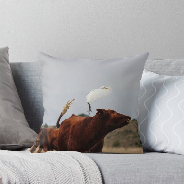 Item preview, Flight designed and sold by Ben Osborne.