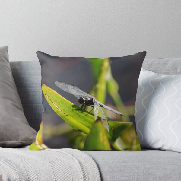 Item preview, DRAGON FLY ON DODGE POND, Lempster, NH designed and sold by Shanklinthomas.