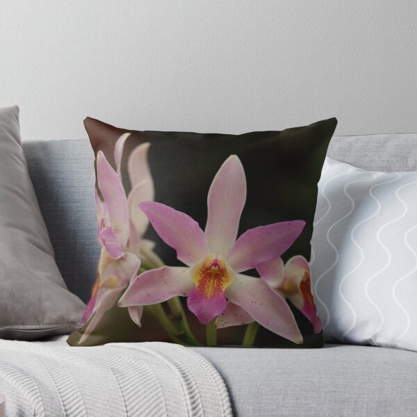 Item preview, Orchids designed and sold by johnnycuervo.