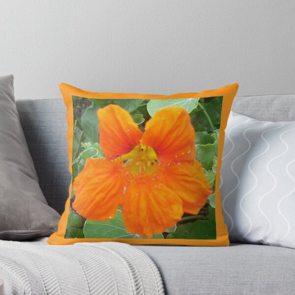 Aperçu de l'œuvre Orange Nasturtium créée et vendue par Kyleacharisse.