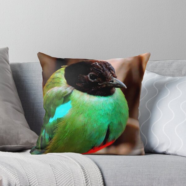 Item preview, Hooded Pitta designed and sold by Barnbk02.