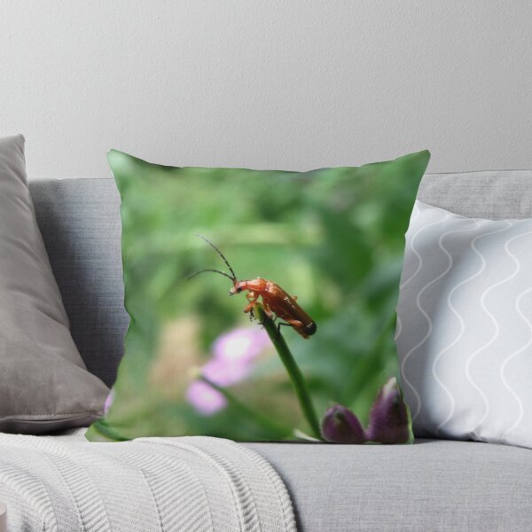 Item preview, Mystery Bug designed and sold by LeaGerard.