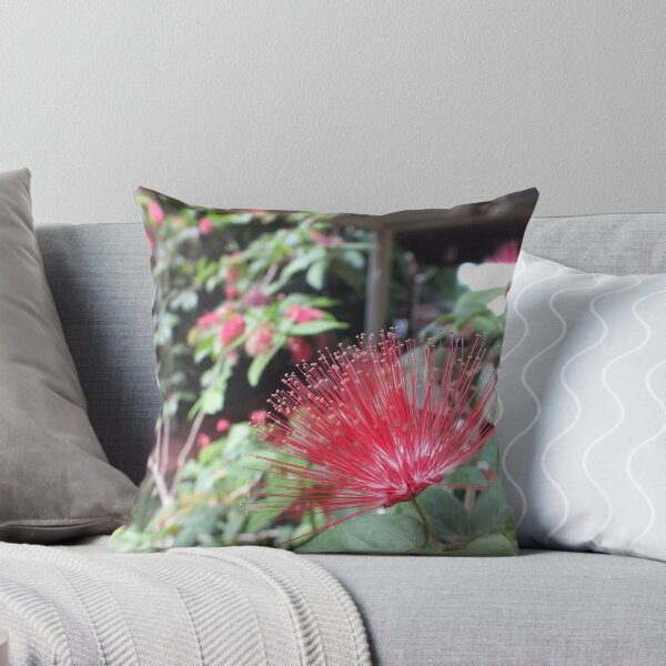 Item preview, The Starburst Plant designed and sold by LeaGerard.