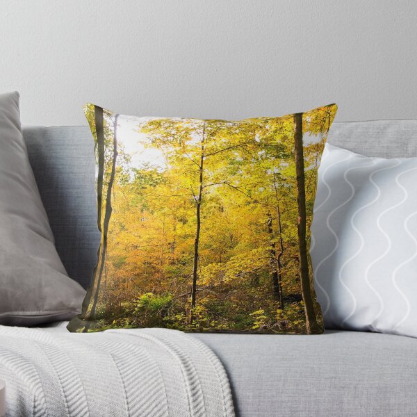 Along the O&W railbed II Throw Pillow