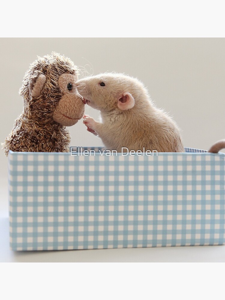 Poppy and friend by Ellen