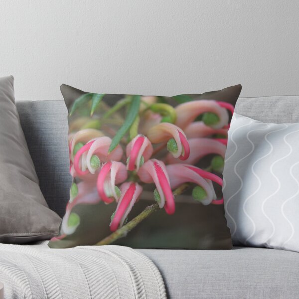 Item preview, Grevillea Juniperina (Granite-belt form) designed and sold by andrachne.