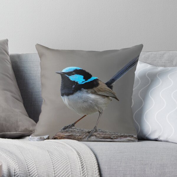 Superb Fairy-wren " Male" Throw Pillow
