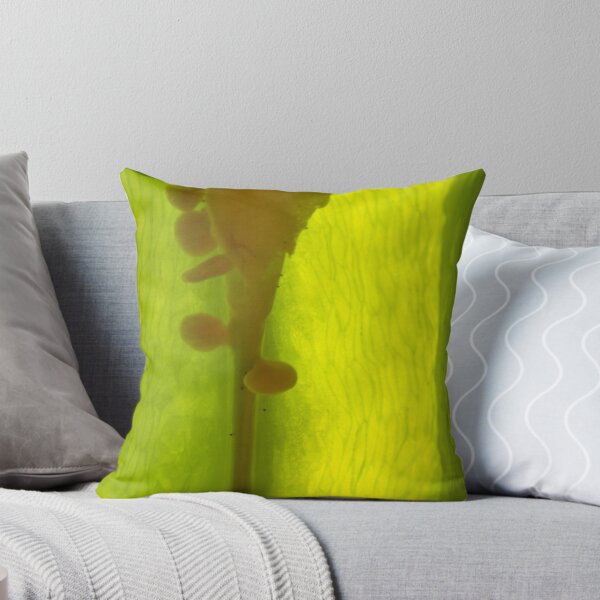 Item preview, Ascension designed and sold by yvesrossetti.