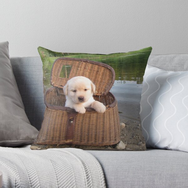 Let's go fishing! Throw Pillow
