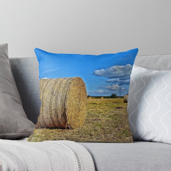 Item preview, Round straw bales designed and sold by alza.