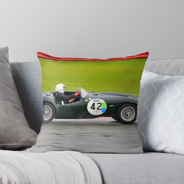 Aperçu de l'œuvre Frazer Nash Sebring No 42 créée et vendue par Willie Jackson.