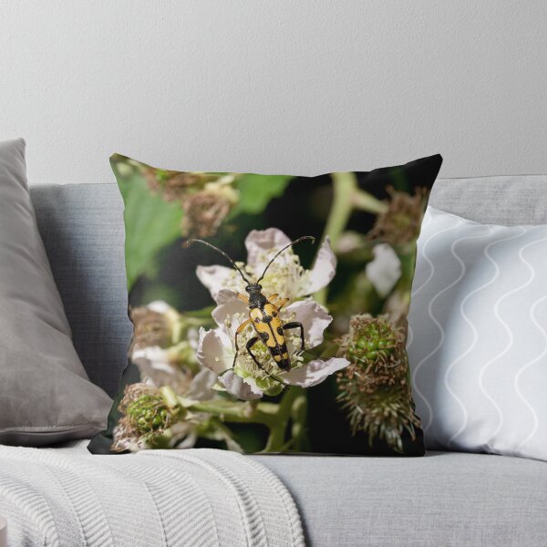 Aperçu de l'œuvre Longhorn Beetle on Bramble créée et vendue par Sue Robinson.