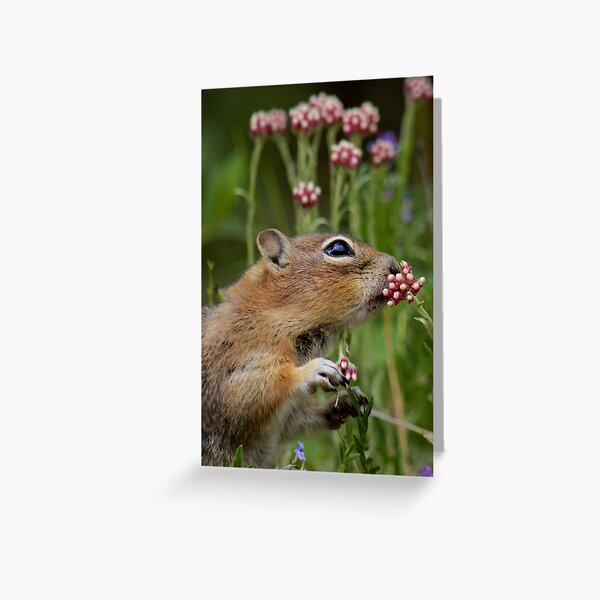 Precious Moment Greeting Card