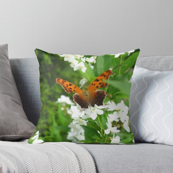 Item preview, Question Mark - Polygonia interrogationis designed and sold by MarianBendeth.