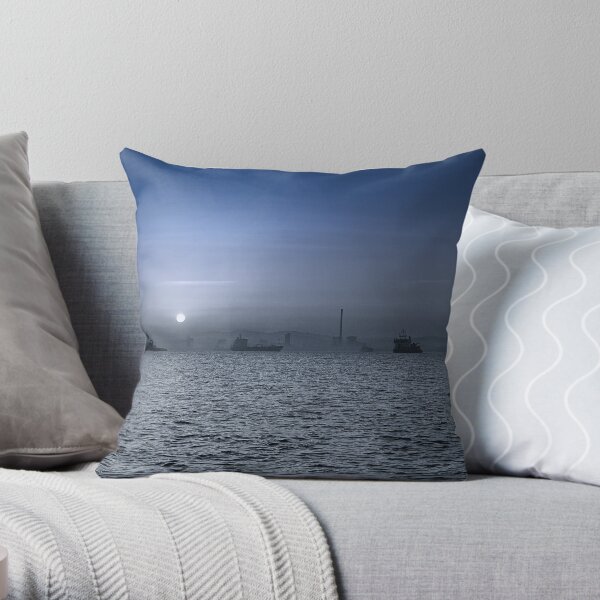 January Throw Pillow