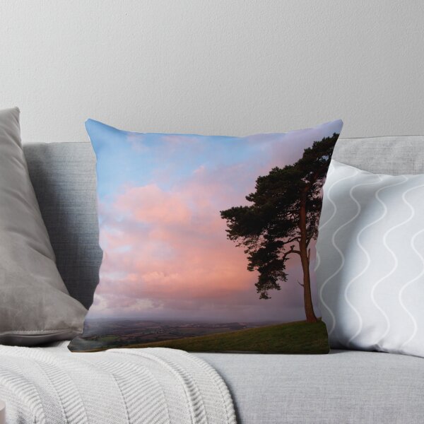 Item preview, Lone tree on Raddon Hilltop at sunrise designed and sold by Pete Hemington.