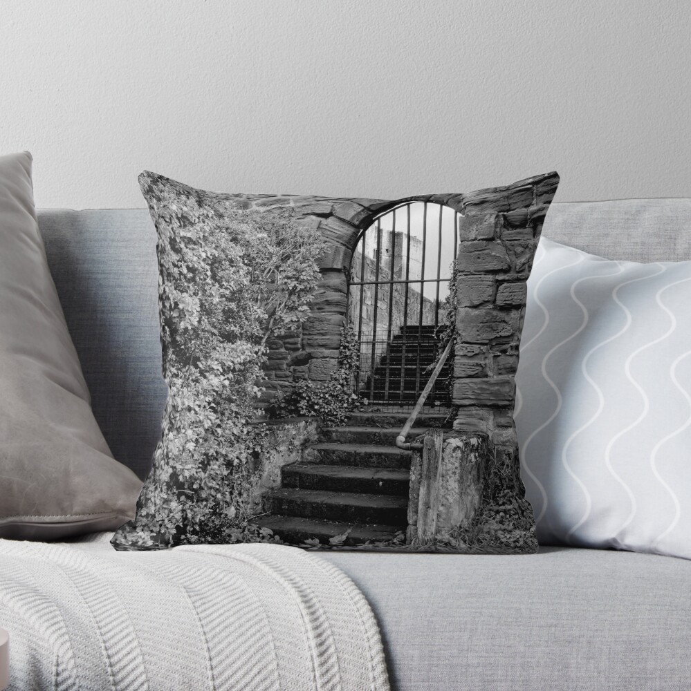 Sneak in the back entrance - Kenilworth - Britain Throw Pillow