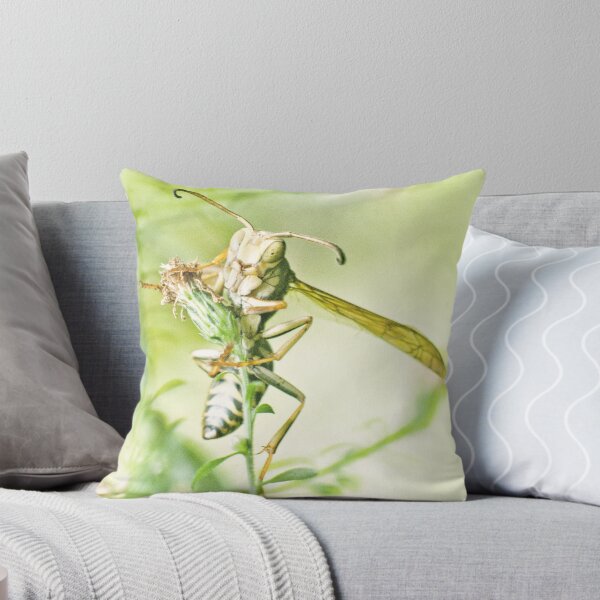 Item preview, Sleepy Wasp in my Garden designed and sold by Moral.