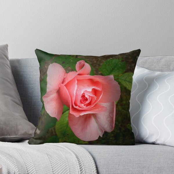 Item preview, Rose designed and sold by Robert  Taylor.