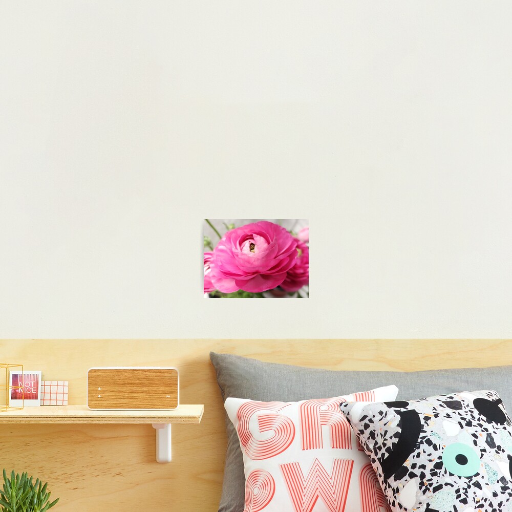 Item preview, Photographic Print designed and sold by LCAppling.