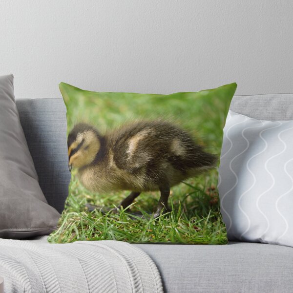 Item preview, Curious Duckling designed and sold by Bami.