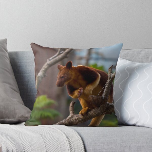 Item preview, Canguro de árbol designed and sold by diggle.