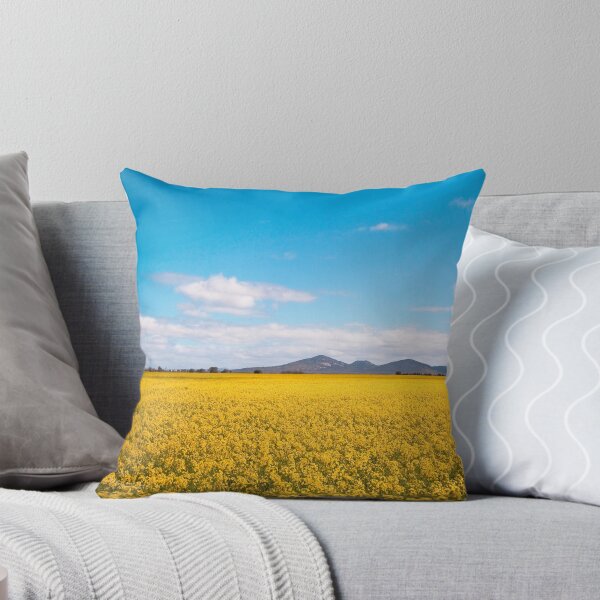 Item preview, Canola and the Youies! designed and sold by ImagesbyDi.