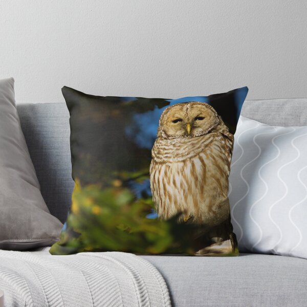 Artikelvorschau, Autumn Barred Owl entworfen und verkauft von Michel (Mike) Soucy.