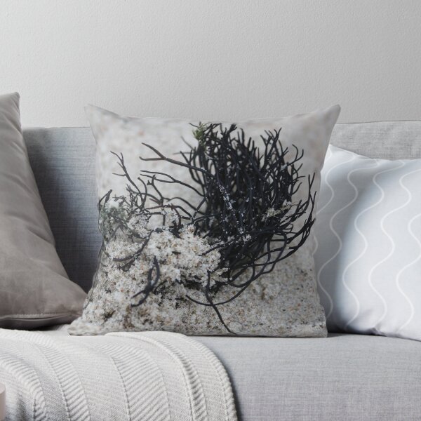 Sandy Throw Pillow