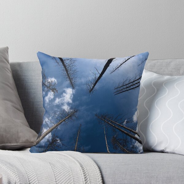 Item preview, Black Forest Paradise designed and sold by Mark Iocchelli.