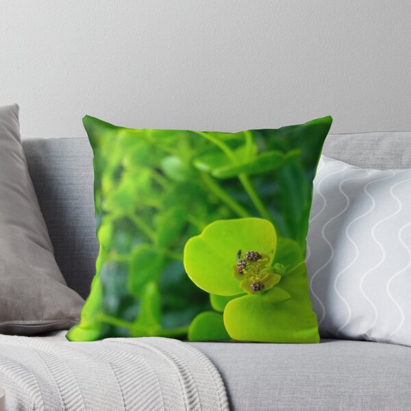 Item preview, Three to One designed and sold by LouJay.