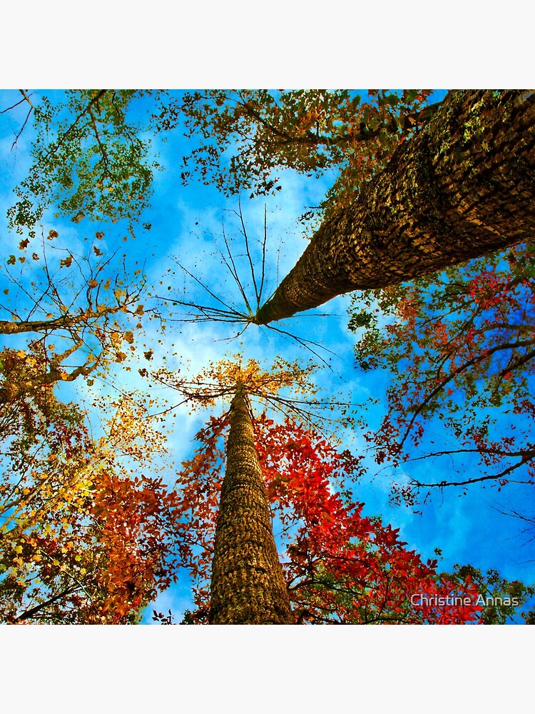 Up! by 2Bricks