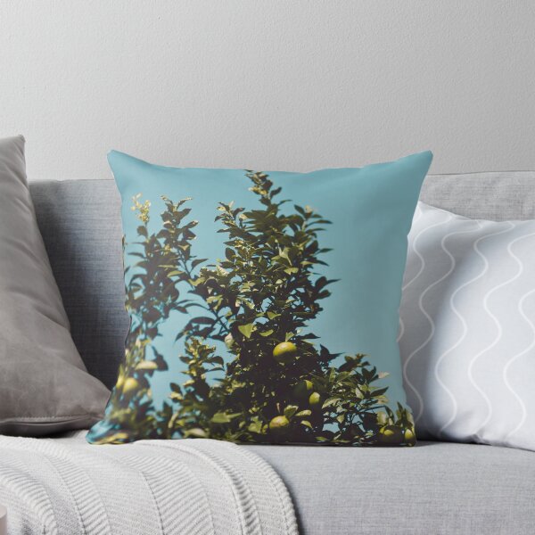 Aperçu.