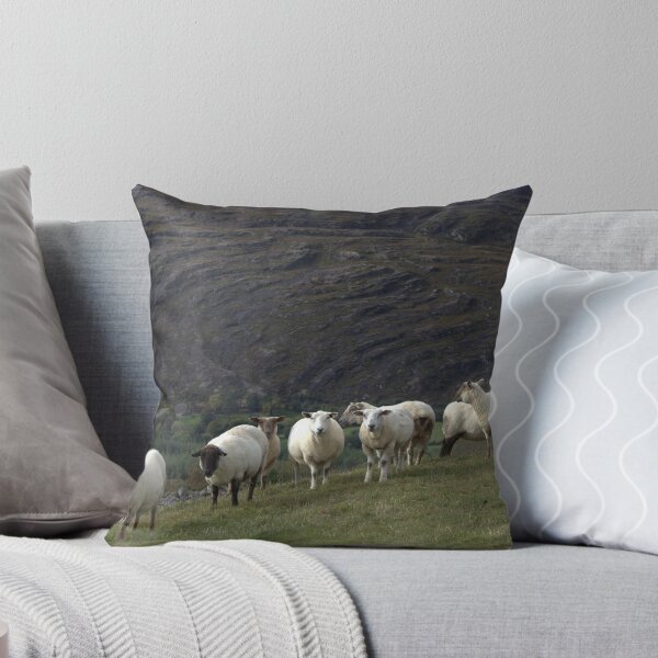 Item preview, Baaa.. designed and sold by CliveOnBeara.