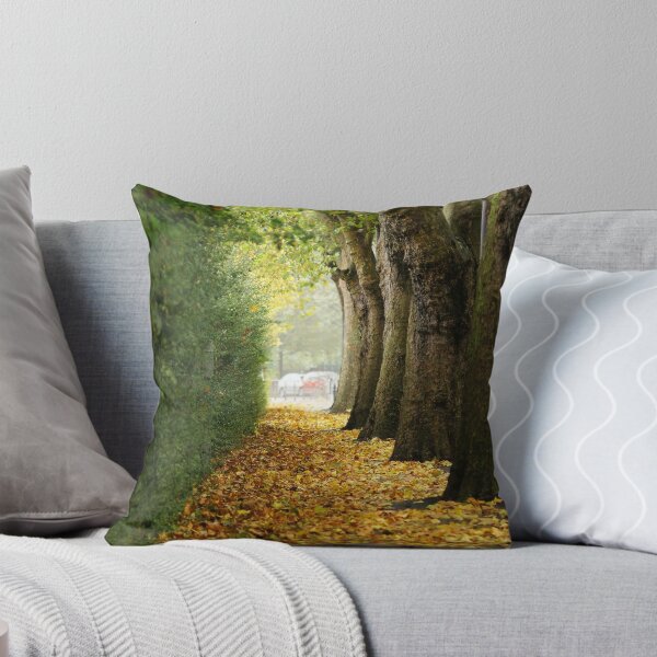 Item preview, Autumn alley designed and sold by flashcompact.