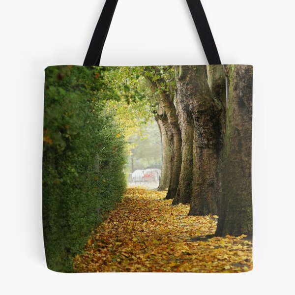 Item preview, Autumn alley designed and sold by flashcompact.