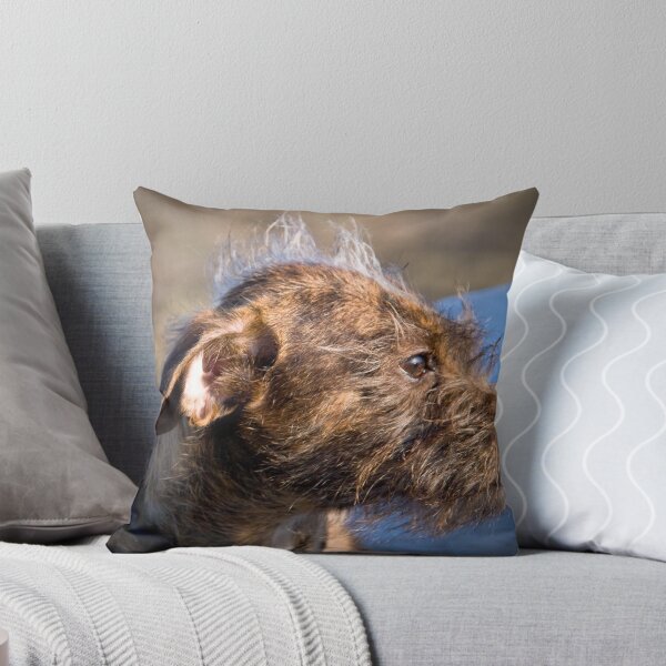 Item preview, Mohawk Mutt designed and sold by Sean Balanger.