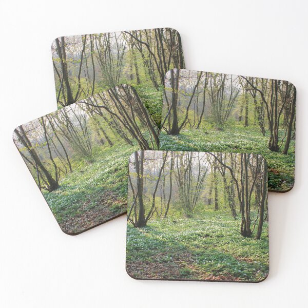 Item preview, Lovely white Flowers on the Forest Floor designed and sold by Vicki Spindler (VHS Photography).