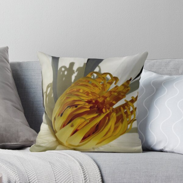 Item preview, Pond Treasures ~ Part Six designed and sold by artisandelimage.