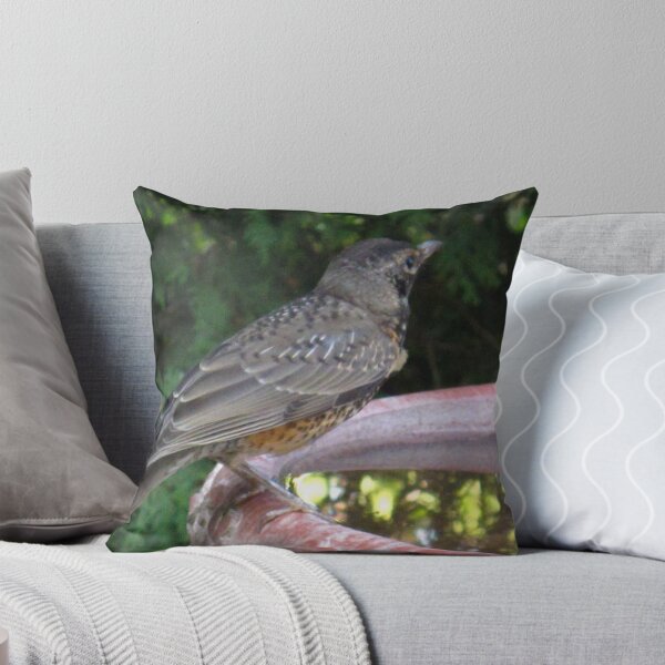 Item preview, Gentle Robin designed and sold by MarianBendeth.