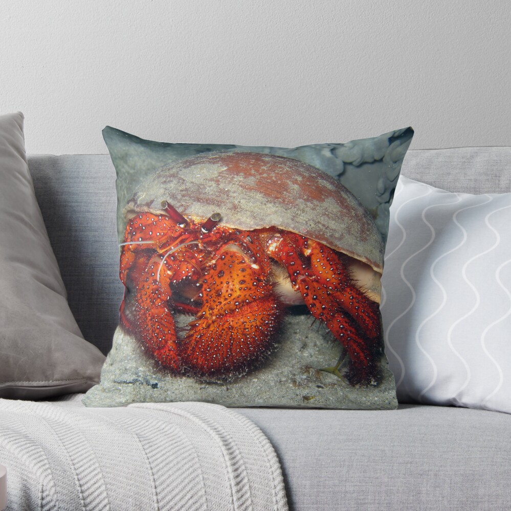Hermit in Melo Throw Pillow