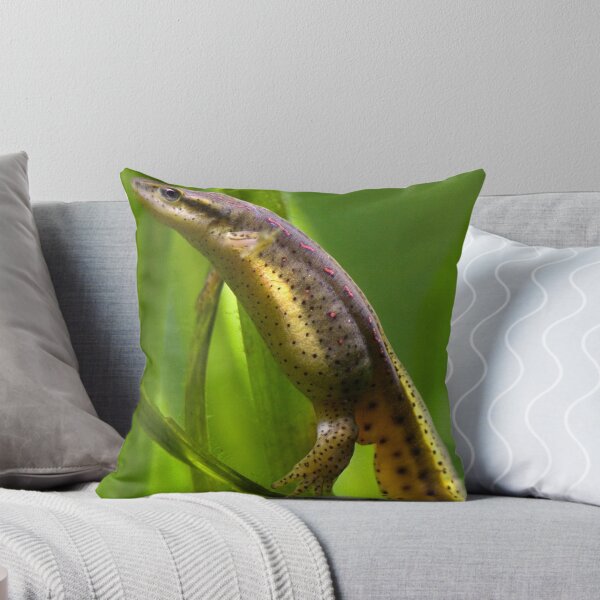 Artikelvorschau, The Other Newt entworfen und verkauft von Gene Walls.