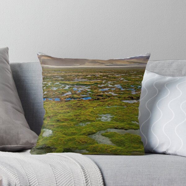 Item preview, Laguna Chiarcota3? designed and sold by bulljup.
