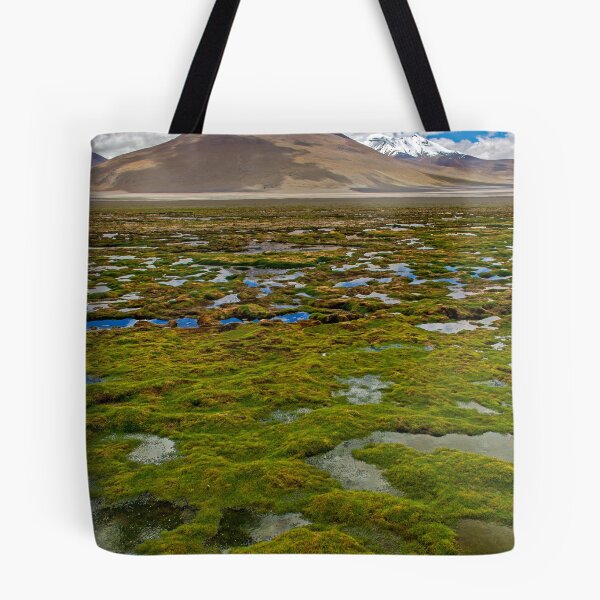 Item preview, Laguna Chiarcota3? designed and sold by bulljup.