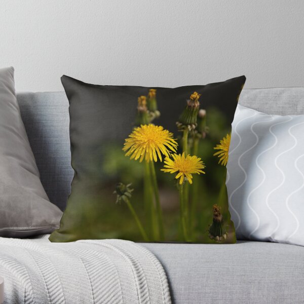 Dandylions Throw Pillow