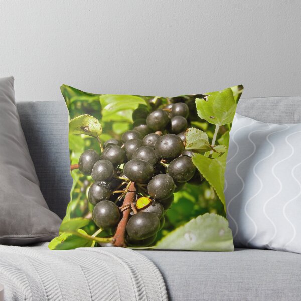 Item preview, Berries designed and sold by Shulie1.