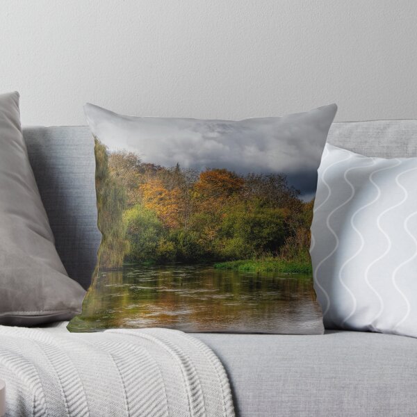 The river Itchen at Itchen Stoke, Hampshire Throw Pillow